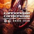  Kit vinilos adhesivos para la decoración de bicicletas Cannondale 05757
