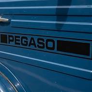 Vinilo de corte PEGASO - Logotipo adhesivo profesional para camiones y vehículos clásicos 09979