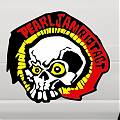  Sticker adhesivo de vinilo Pearl Jam Riot Act Skull 01680