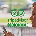  Vinilo adhesivo bares y restaurantes Opiniones de Tripadvisor -  Estrellas de Tripadvisor 06662