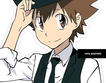  Sticker Adhesivo Troquelado de Vinilo Anime Katekyo Hitman Reborn 2 01248