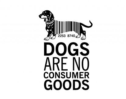 Vinilo decorativo personalizado Dogs are no consumer goods 05816