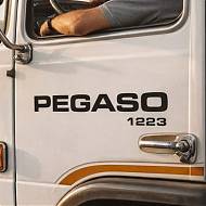 Vinilo Adhesivo Pegaso 1223 y 1217 - Pegatina Camión Clásico Personalizada 09984