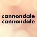  Vinilos adhesivos Cannondale Scalpel Carbon 07981