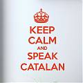  Vinilos pared en catalán? Keep calm and speak catalan 04793