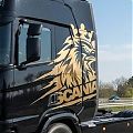  Vinilo Adhesivo de Corte Scania Águila Coronada | Diseño Exclusivo para Camión 010002