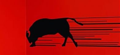 Vinilos decorativos sobre toros y tauromaquia