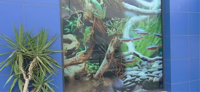 Impresión en vinilo de gran formato en el escaparate de una tienda de acuarios y terrarios