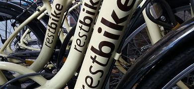 Vinilos adhesivos para una empresa de bicicletas de  alquiler