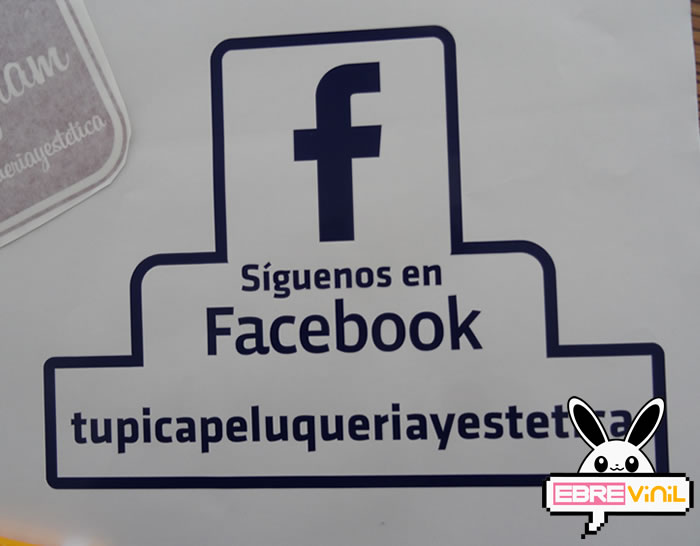 adhesivo vinilo personalizado facebook