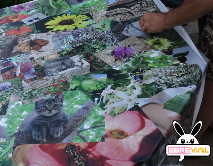 cómo pegar un vinilo para exteriores de forma fácil