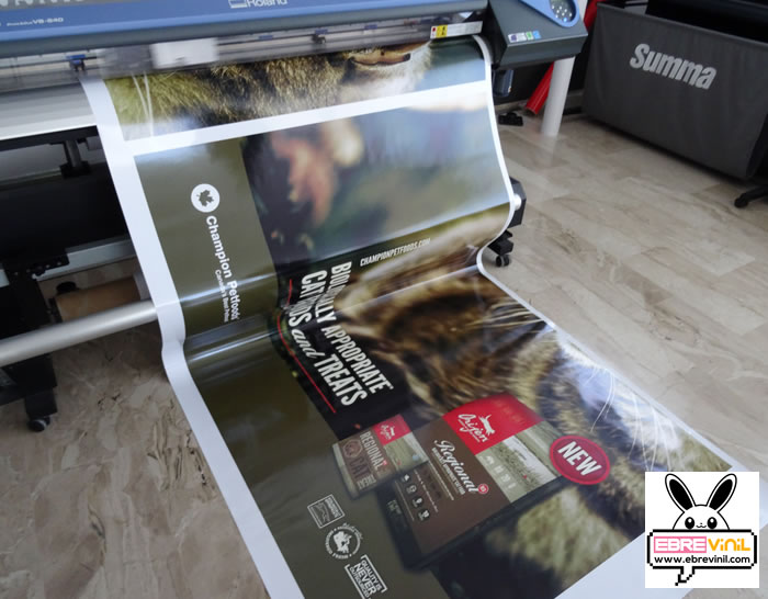 impresiones gran formato en vinilo adhesivo, tienda online de vinilos