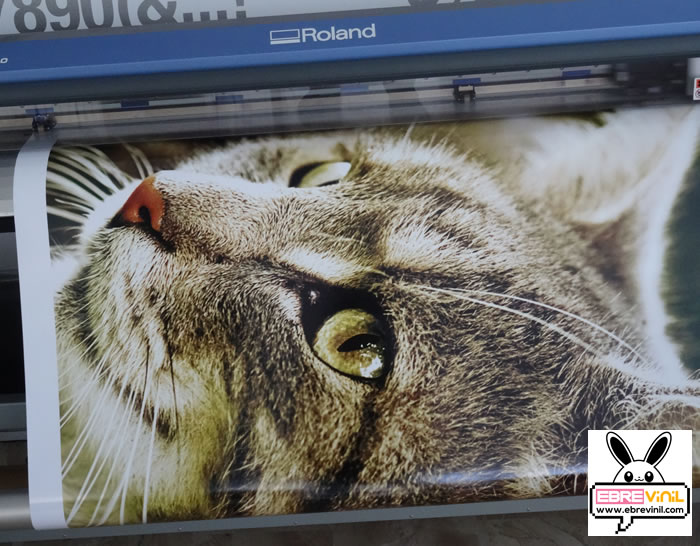 impresiones gran formato a medida impresores online