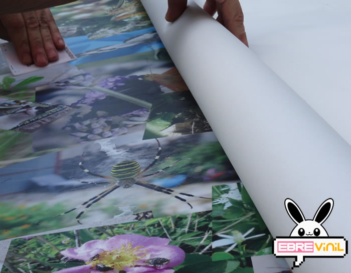 pegar un vinilo adhesivo