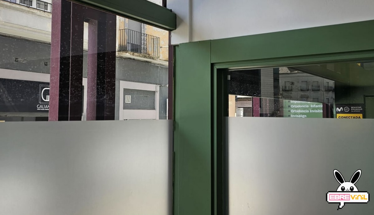 vinilo-adhesivo-decorativo-al-acido-efecto-translucido-aplicado-en-escaparate-comercial
