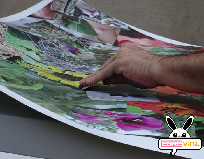vinilo decorativo personalizado laminado